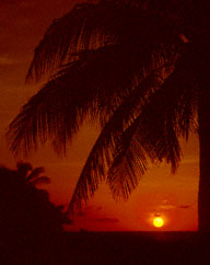 Cayman Sunset